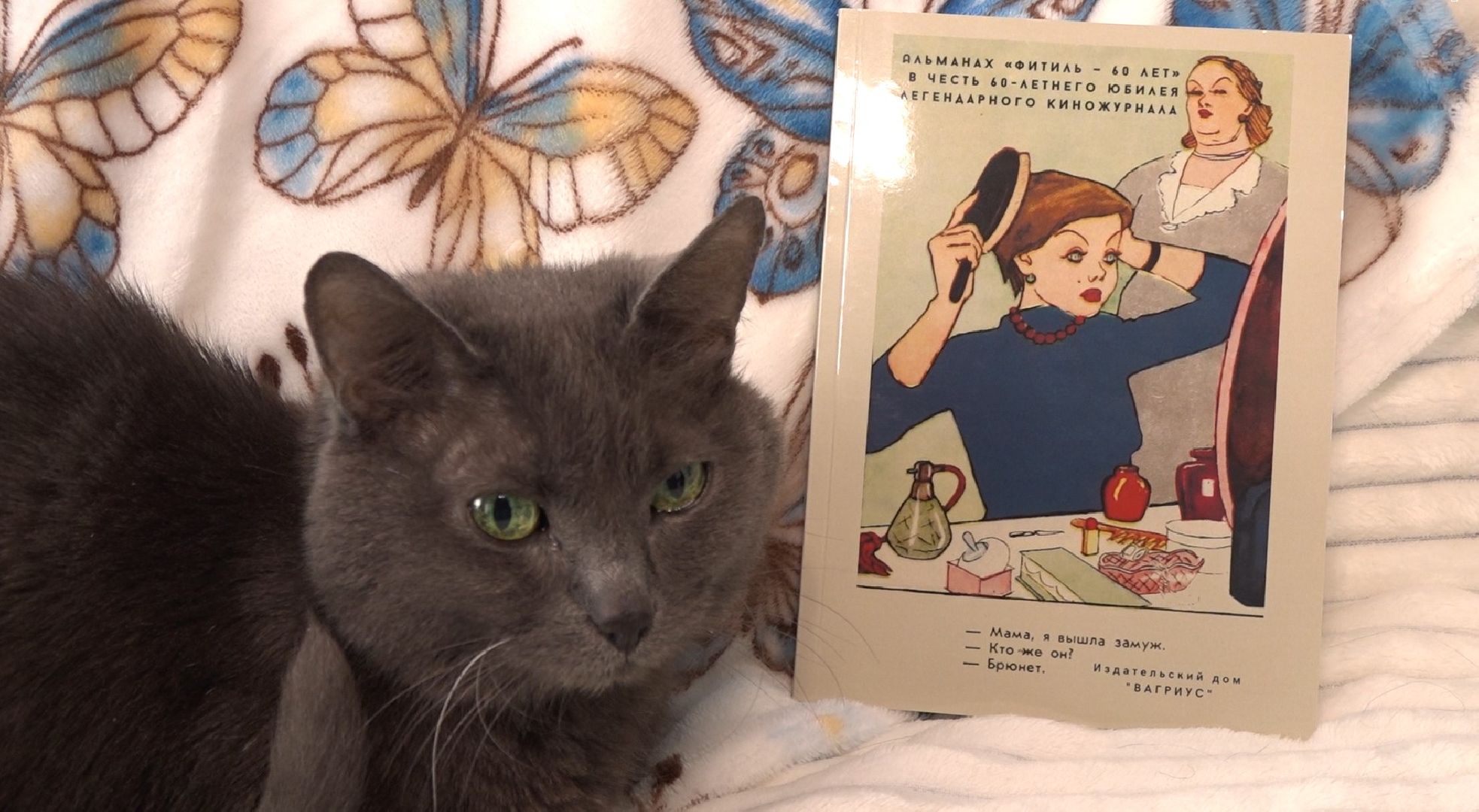 Экософия, сказки, Домодедово