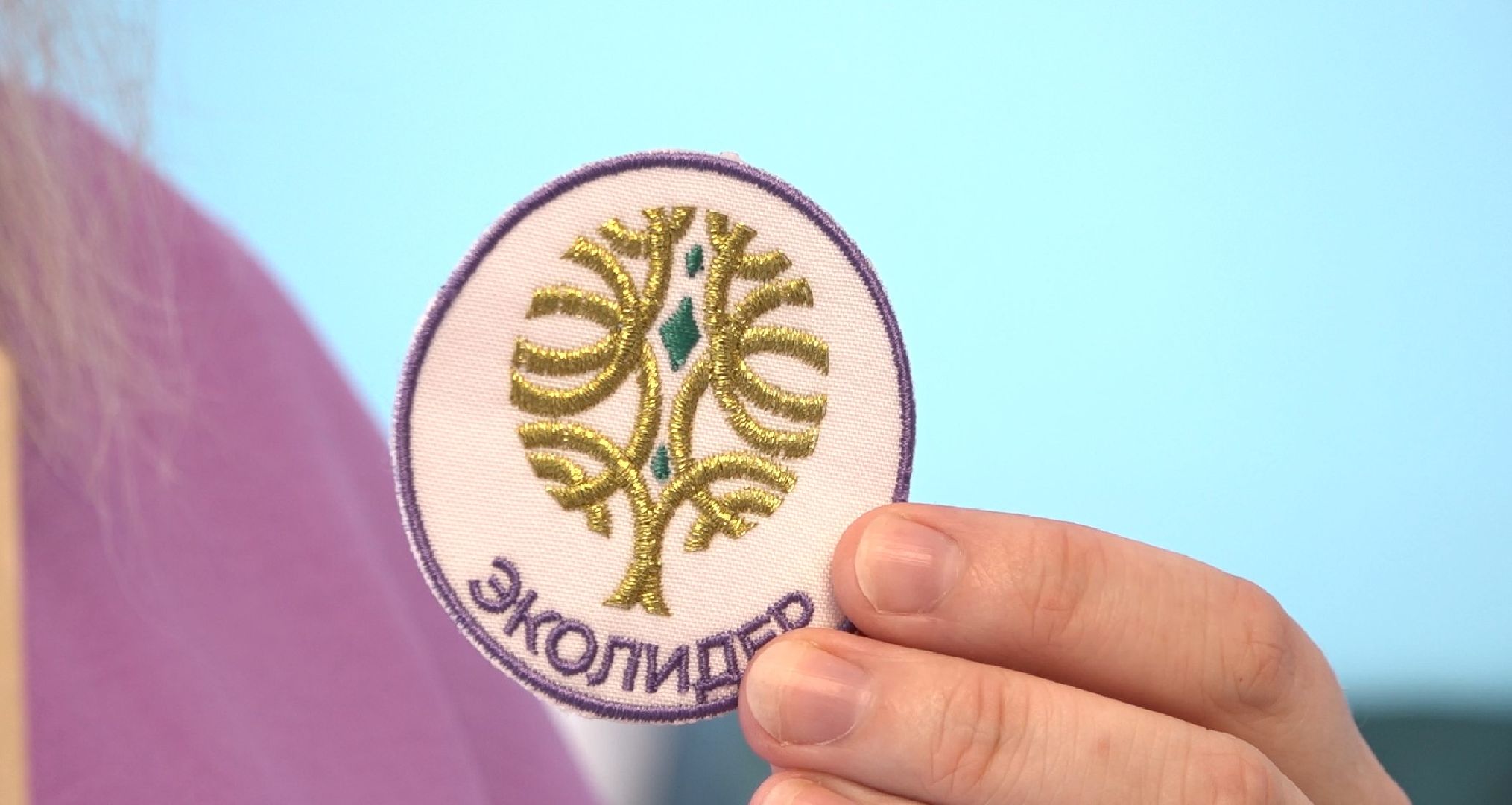 Экософия, сказки, Домодедово