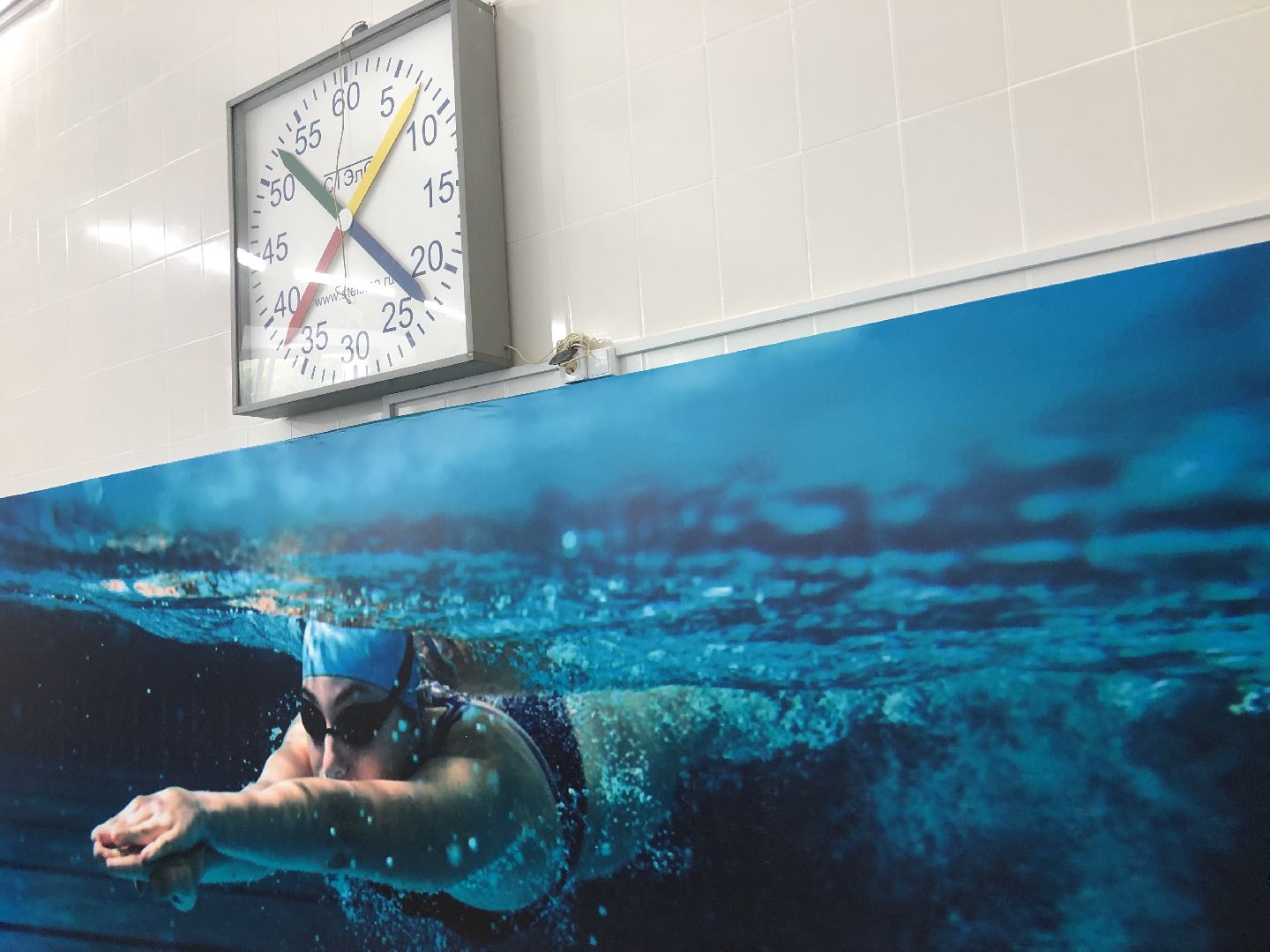 коломна, спорт, плавание