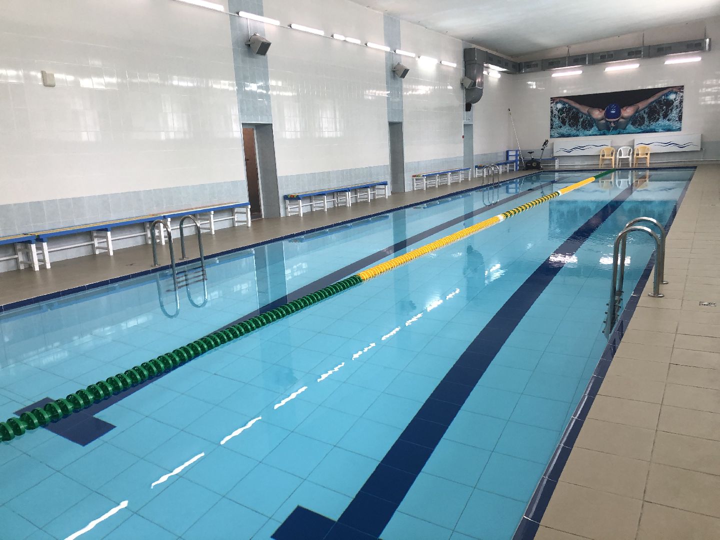 коломна, спорт, плавание