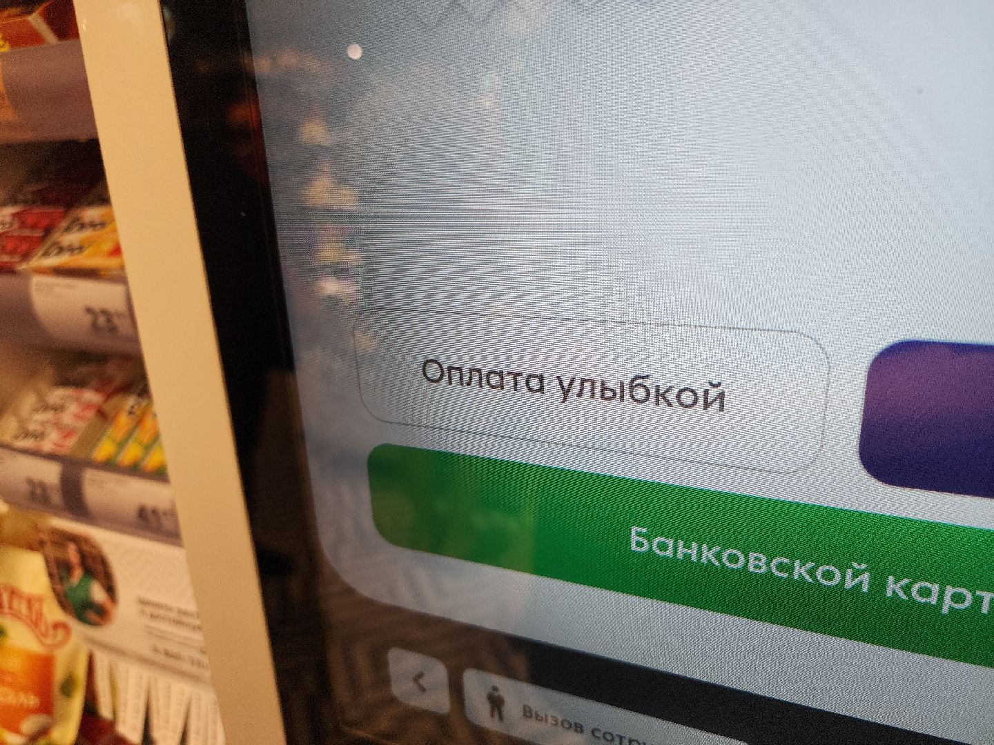 биометрическая оплата, Домодедово