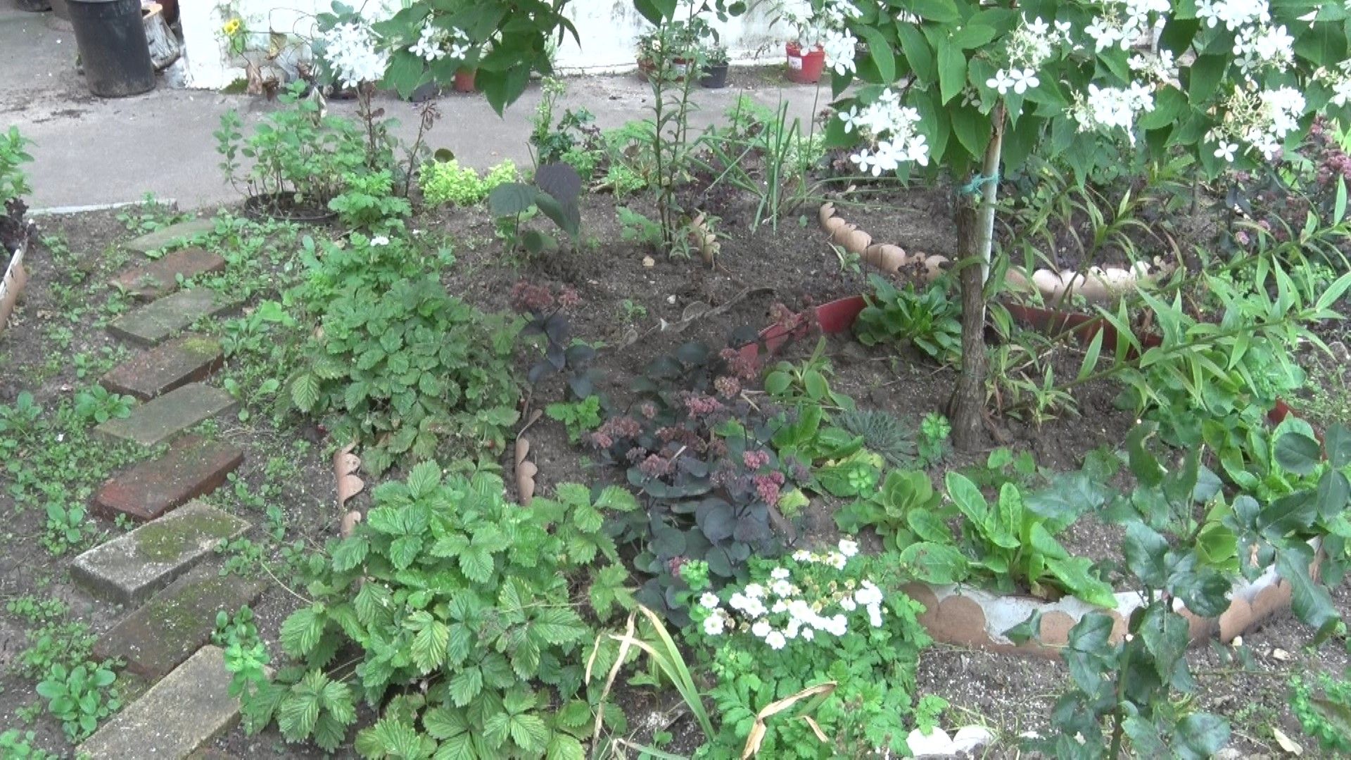 Конкурс на лучший двор, Домодедово