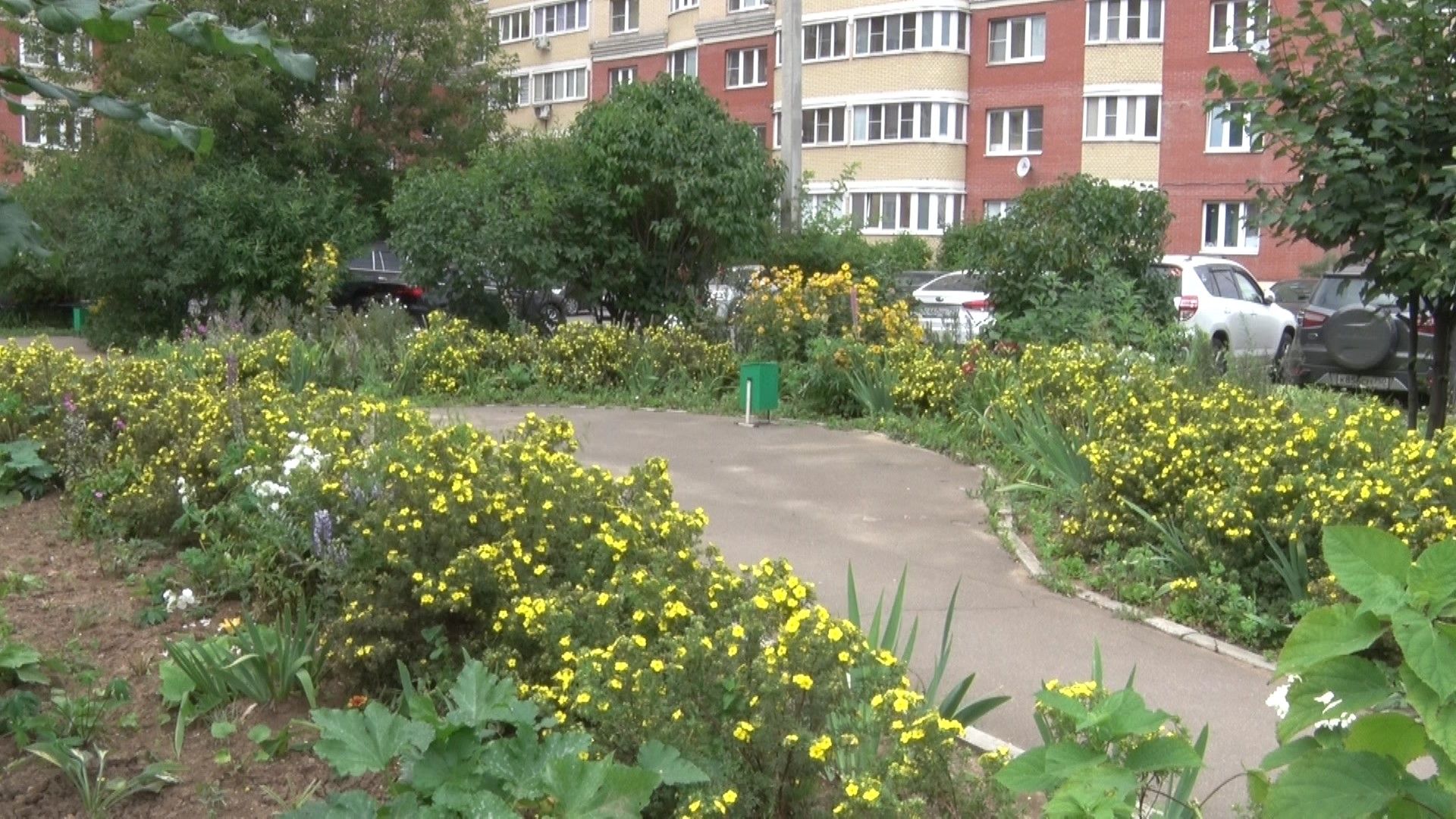 Конкурс на лучший двор, Домодедово