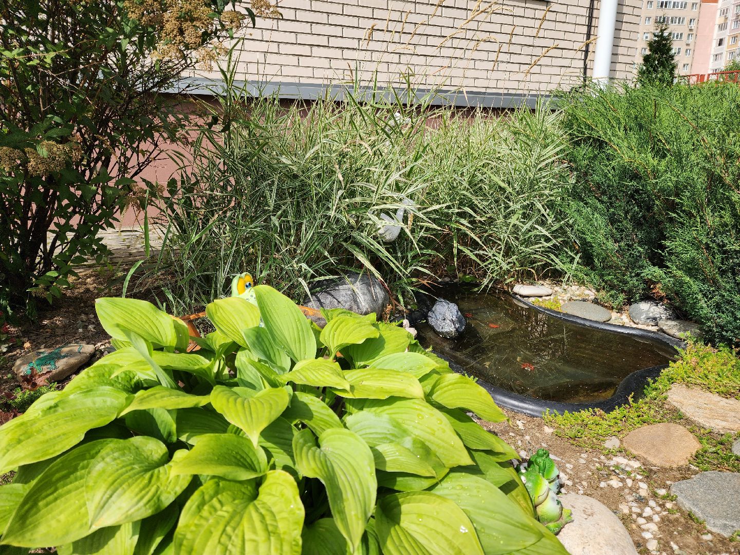 Подольск, детский сад, кинозал, дети, учебный год