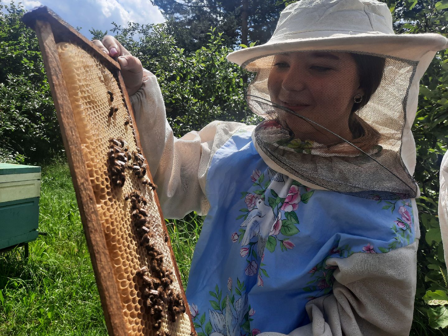 Шатура, Медовый спас, мёд, Рабочая пчела