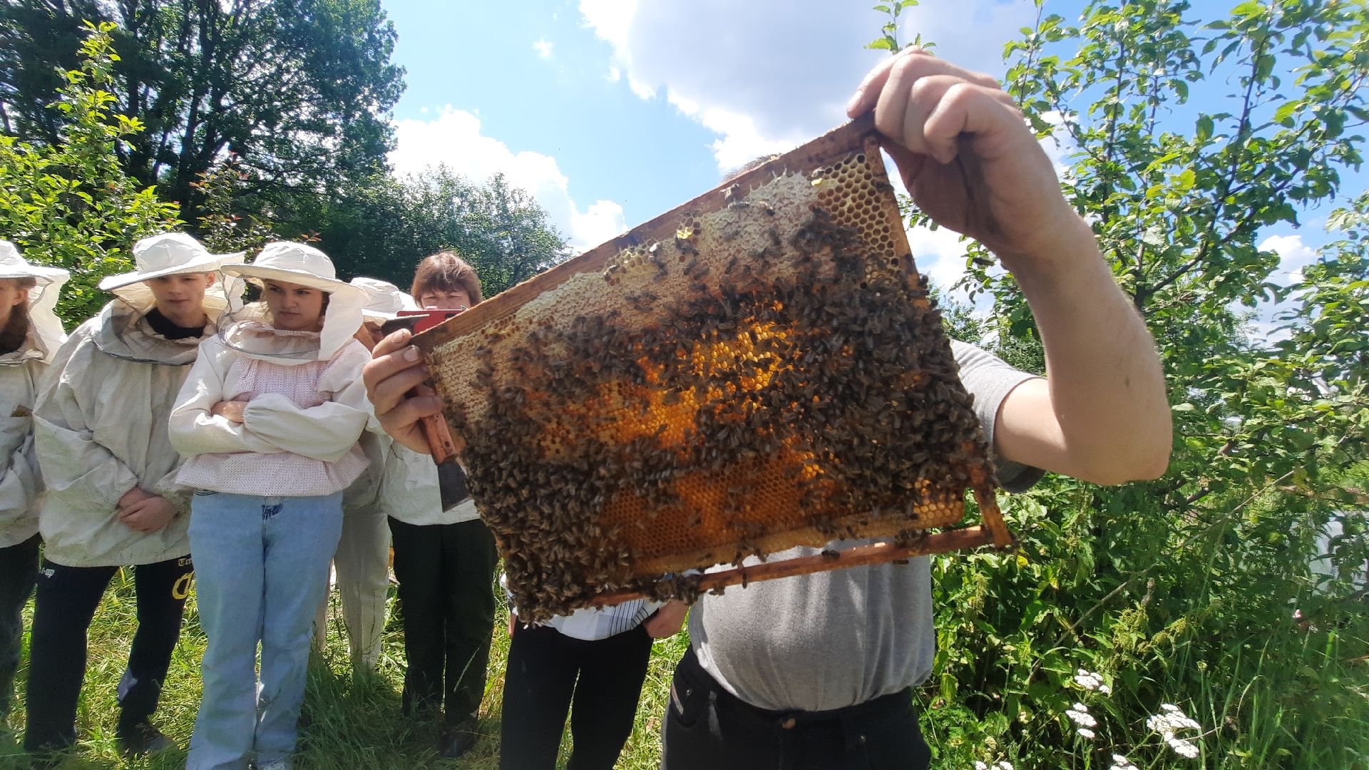 Шатура, Медовый спас, мёд, Рабочая пчела