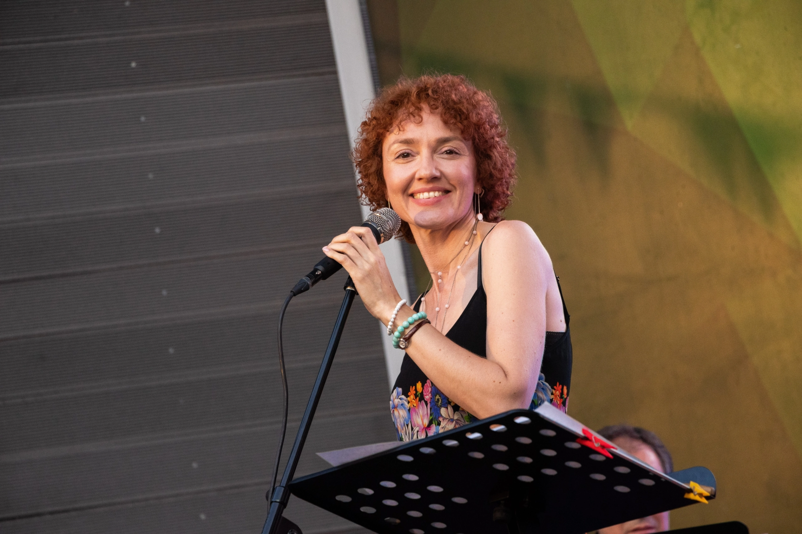 Домодедово, концерт, джазовая певица, год наставника, культура, парк Елочки, джаз,