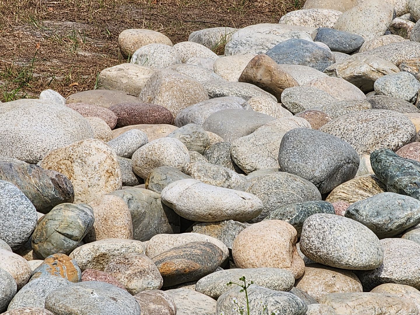 Павловский Посад, городской округ Павловский Посад, парк, благоустройство, Дубрава, сквер