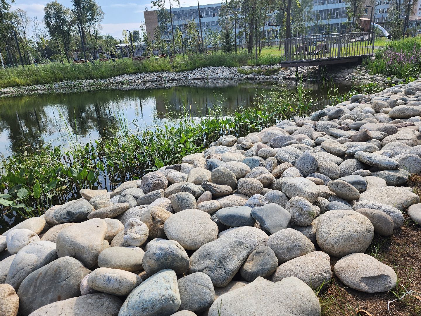 Павловский Посад, городской округ Павловский Посад, парк, благоустройство, Дубрава, сквер