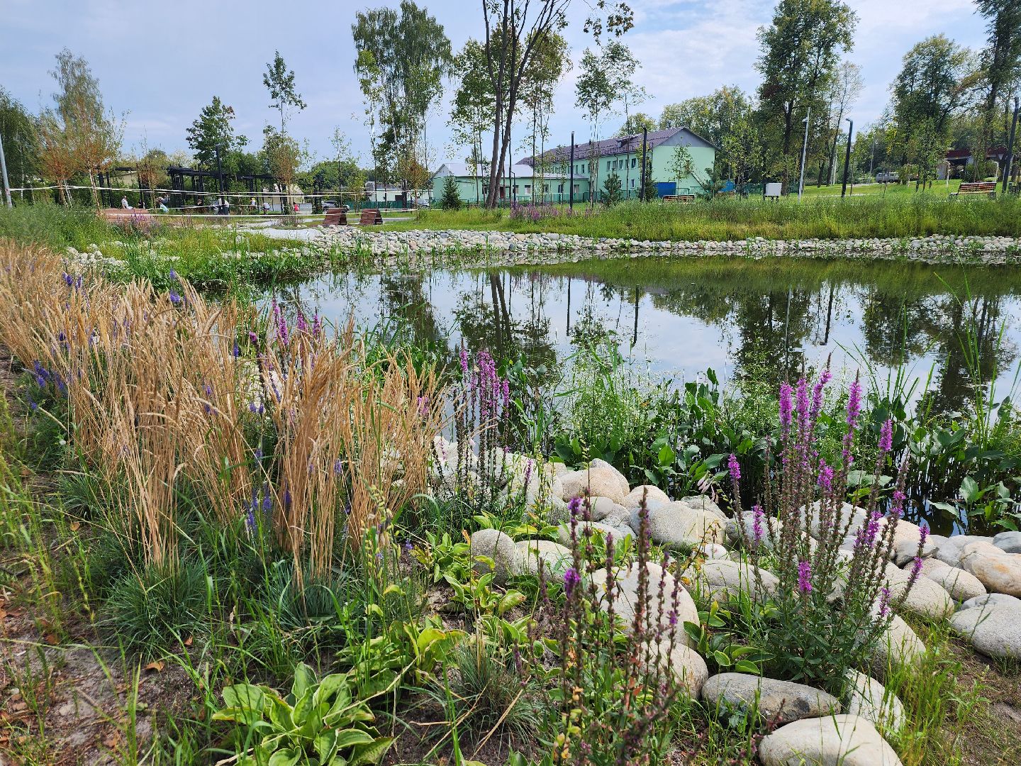 Павловский Посад, городской округ Павловский Посад, парк, благоустройство, Дубрава, сквер