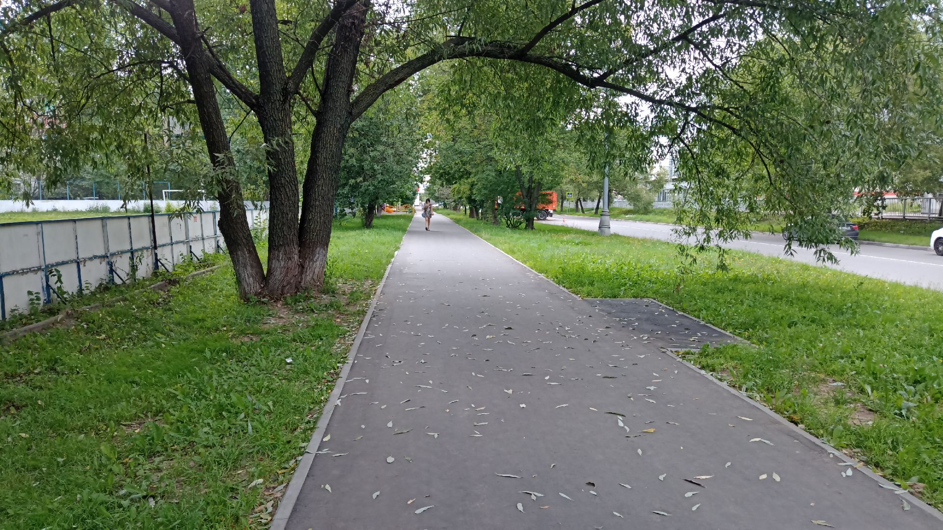 Реутов, транспорт, электрички, метро, МЦД-4, благоустройство, маршрут