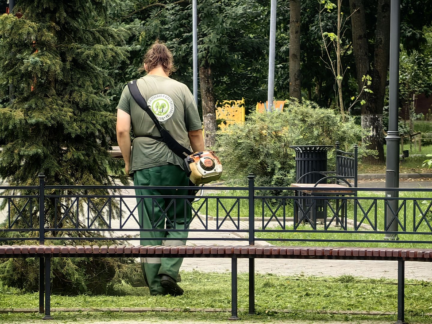 Газон, трава, сквер, улица
