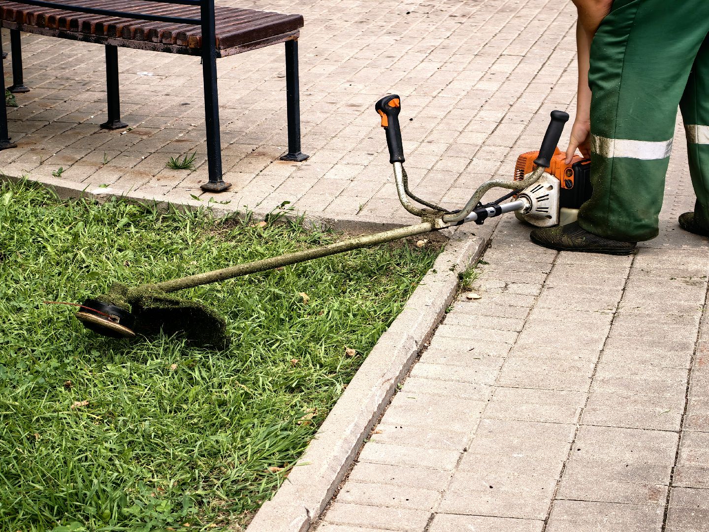 Газон, трава, сквер, улица