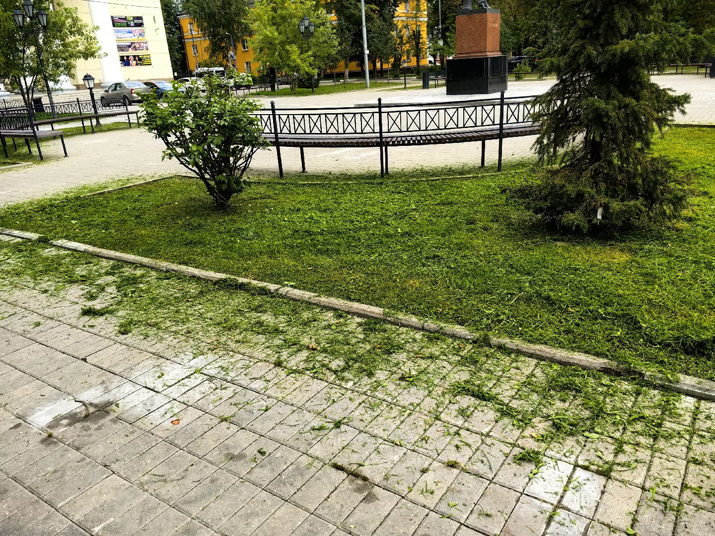 Газон, трава, сквер, улица