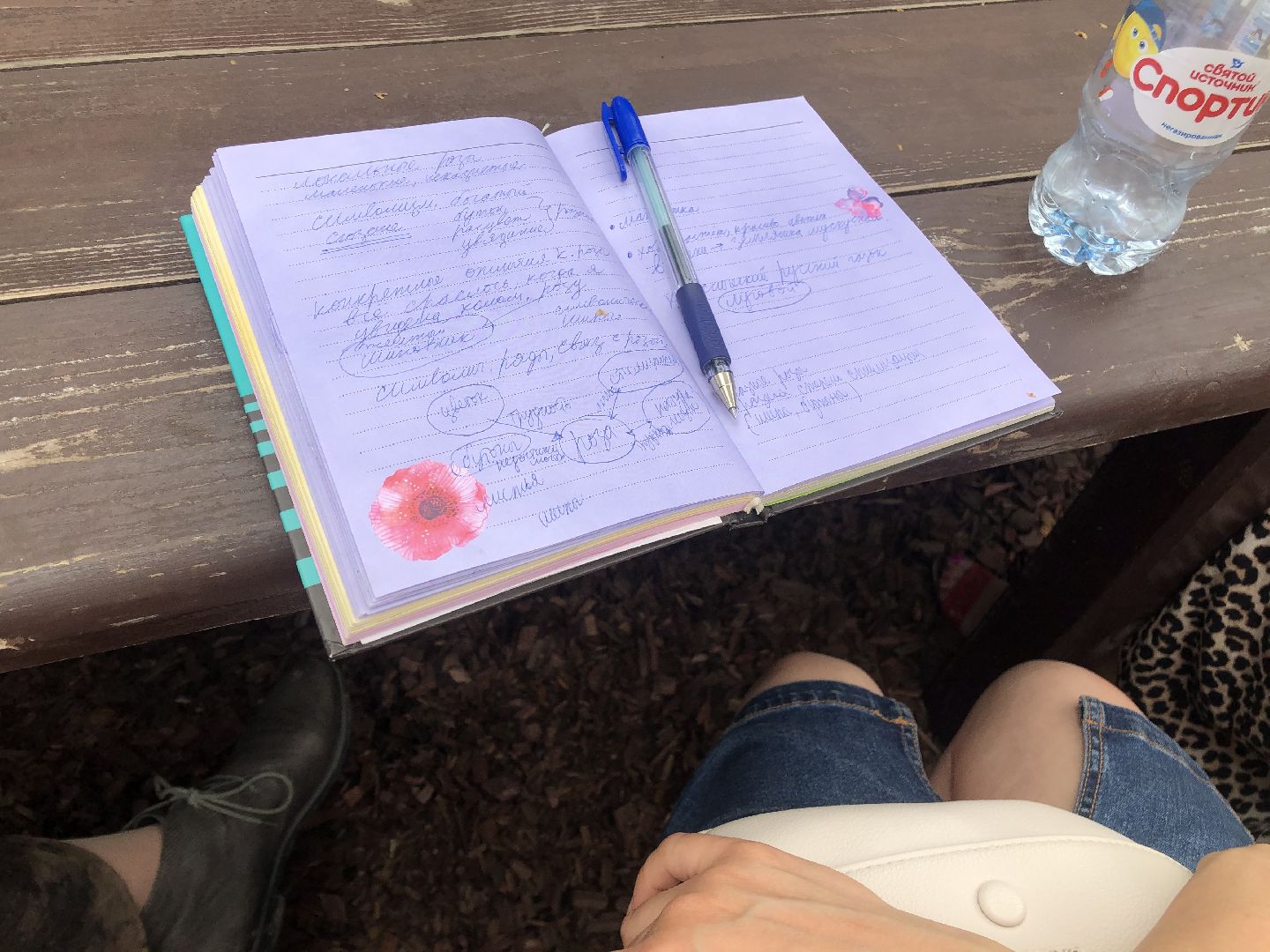 коломна, культура