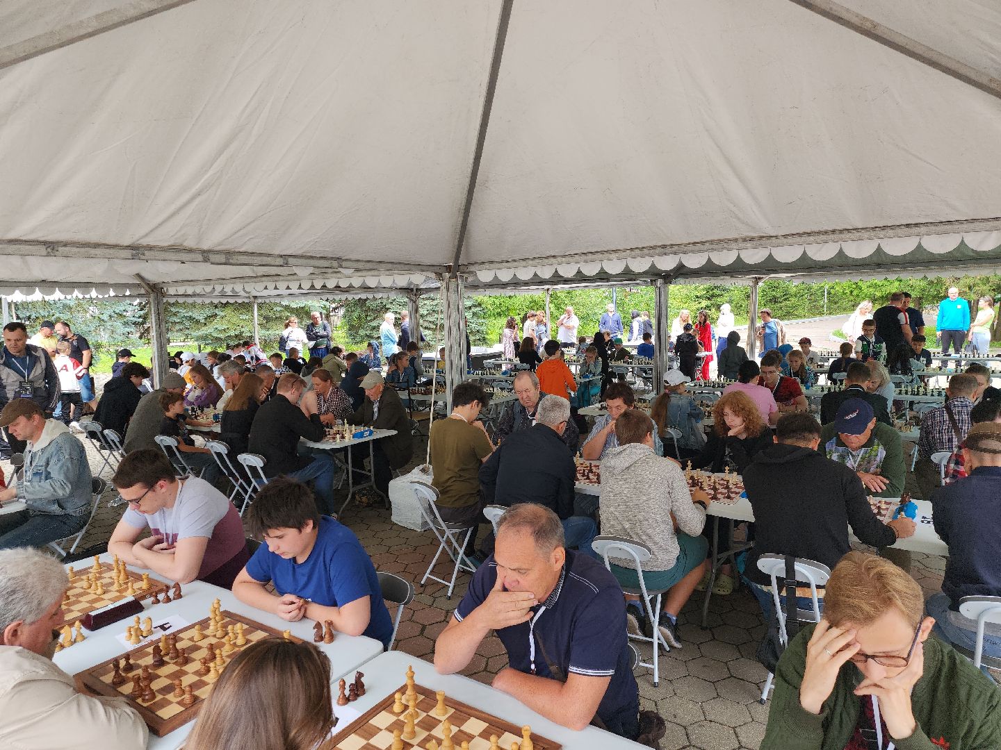 шахматная школа, Сергей Карякин, Домодедово