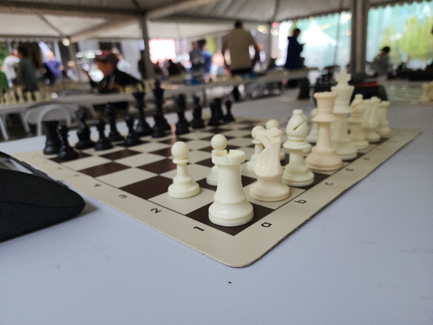 шахматная школа, Сергей Карякин, Домодедово