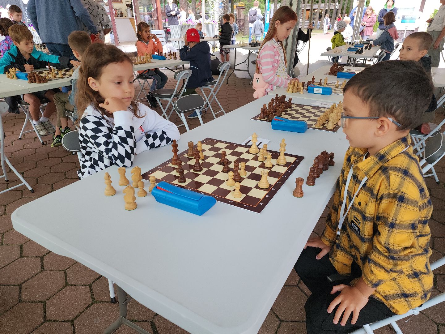 шахматная школа, Сергей Карякин, Домодедово