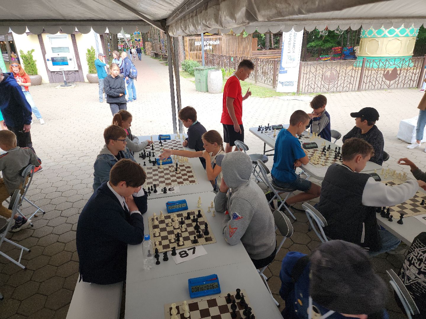 шахматная школа, Сергей Карякин, Домодедово