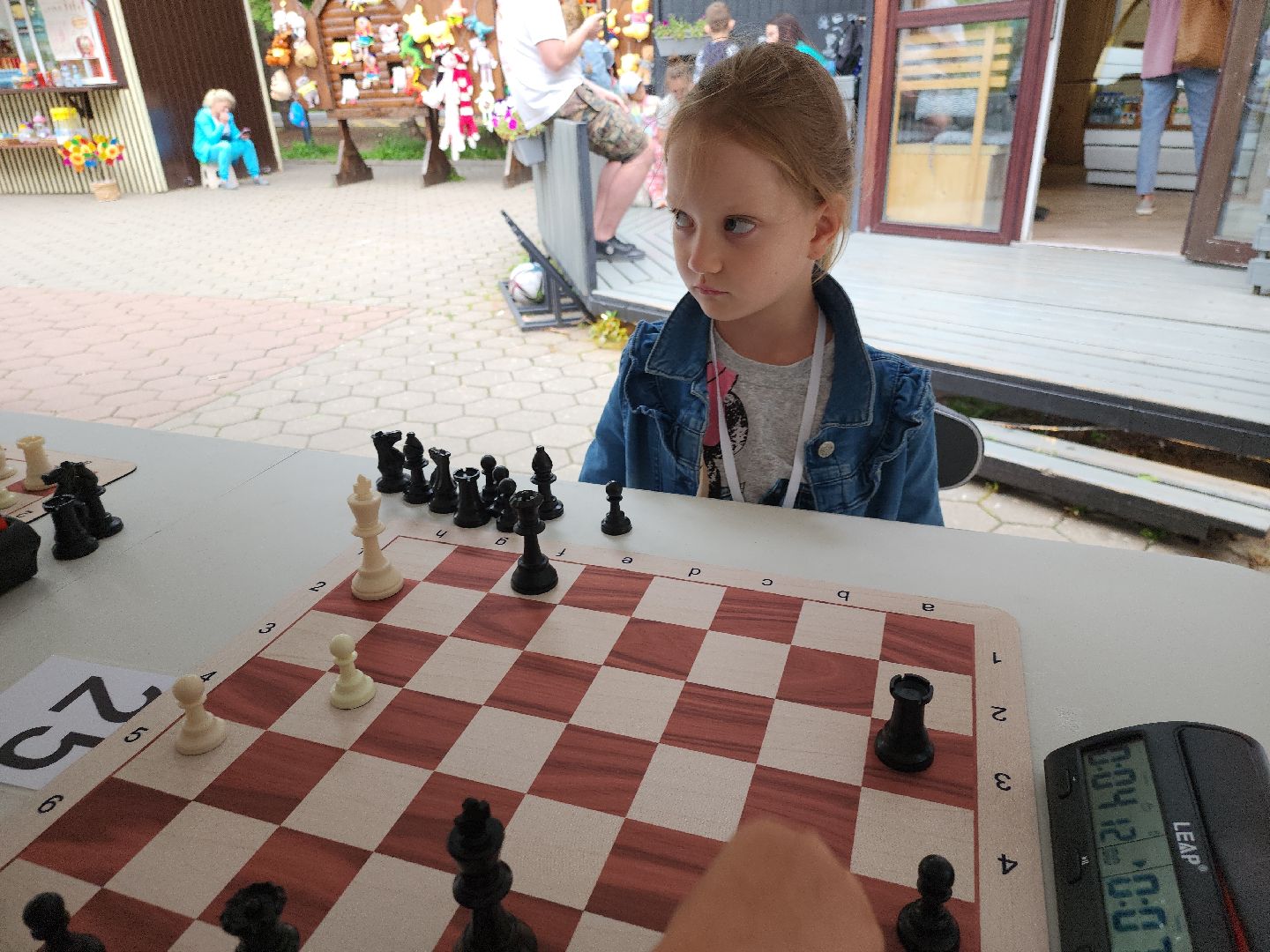 шахматная школа, Сергей Карякин, Домодедово