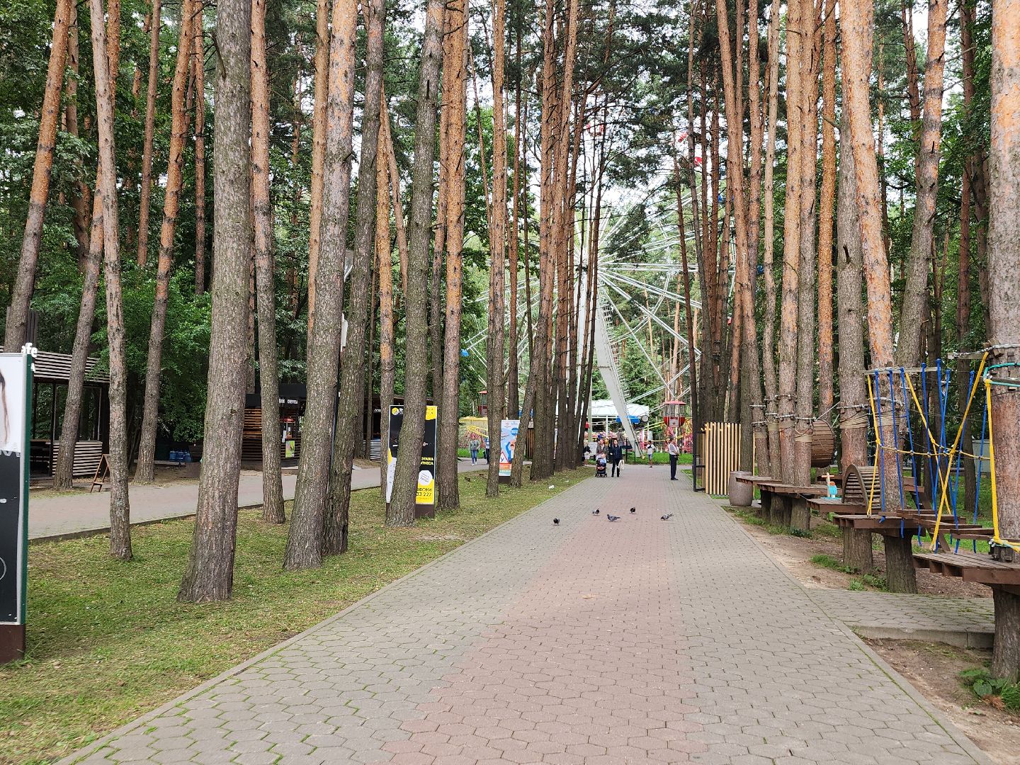 шахматная школа, Сергей Карякин, Домодедово