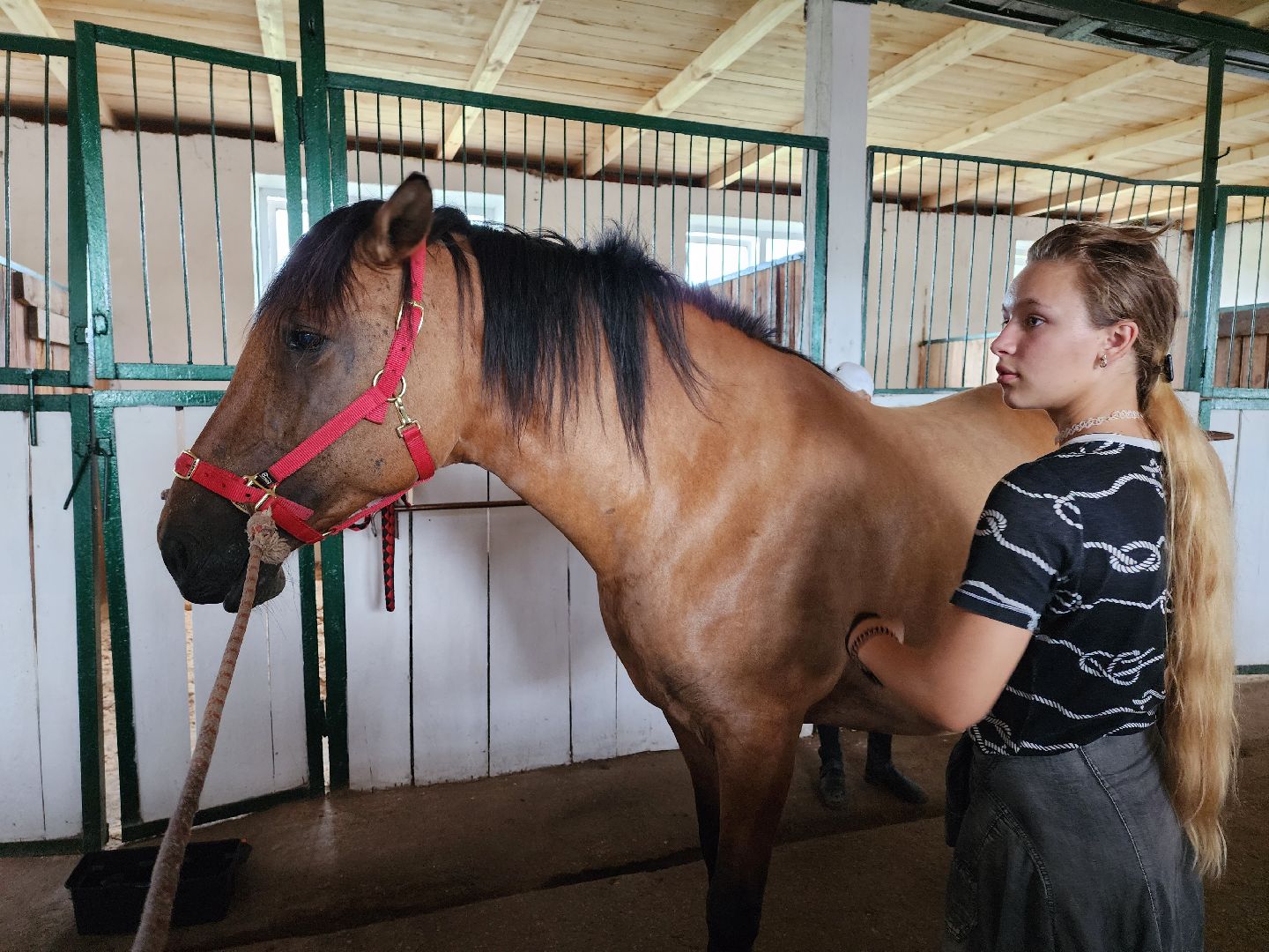 общество, Воскресенск, лошади, спорт, поколение