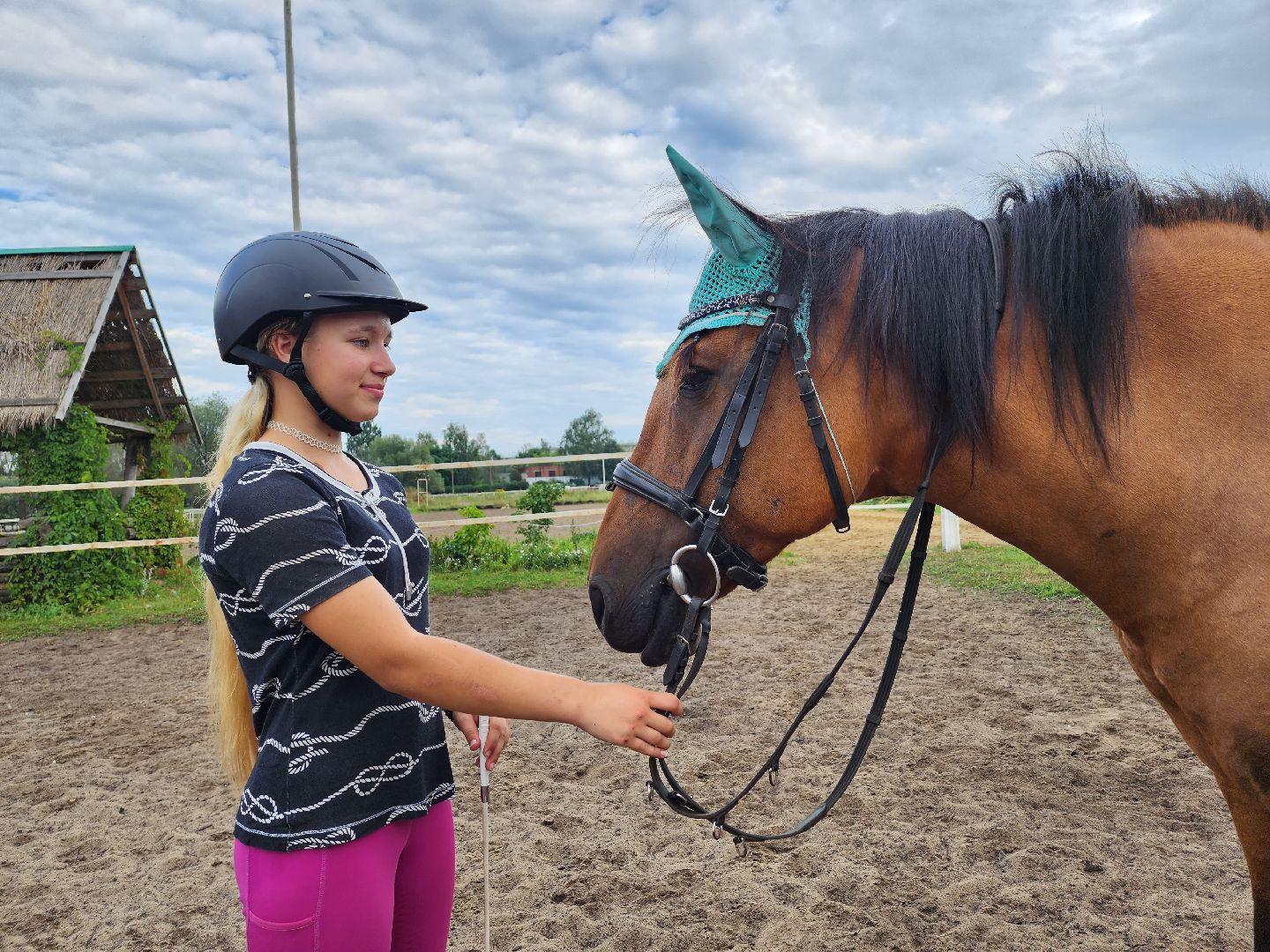 общество, Воскресенск, лошади, спорт, поколение