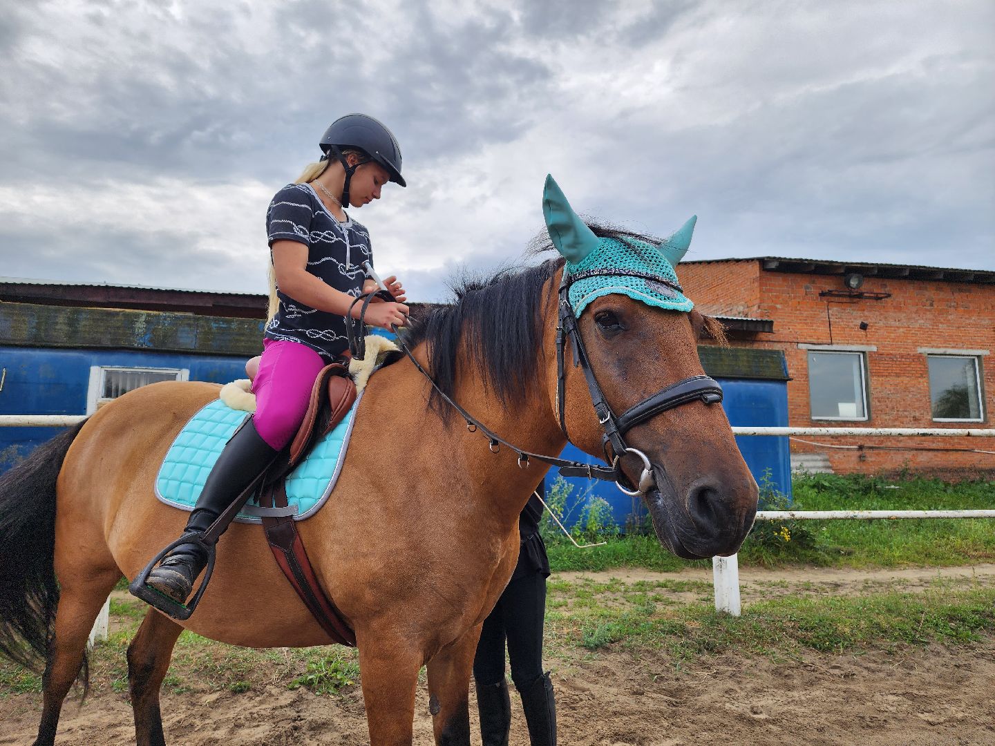 общество, Воскресенск, лошади, спорт, поколение