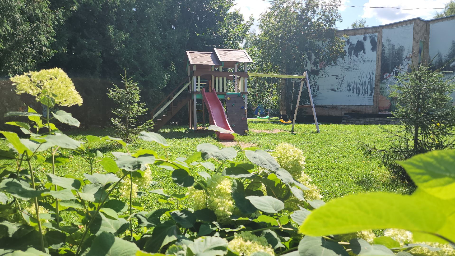 Пушкино, Пушкинский округ, безопасность, ПДН, Полиция, безопасность, спорт, дети, общество