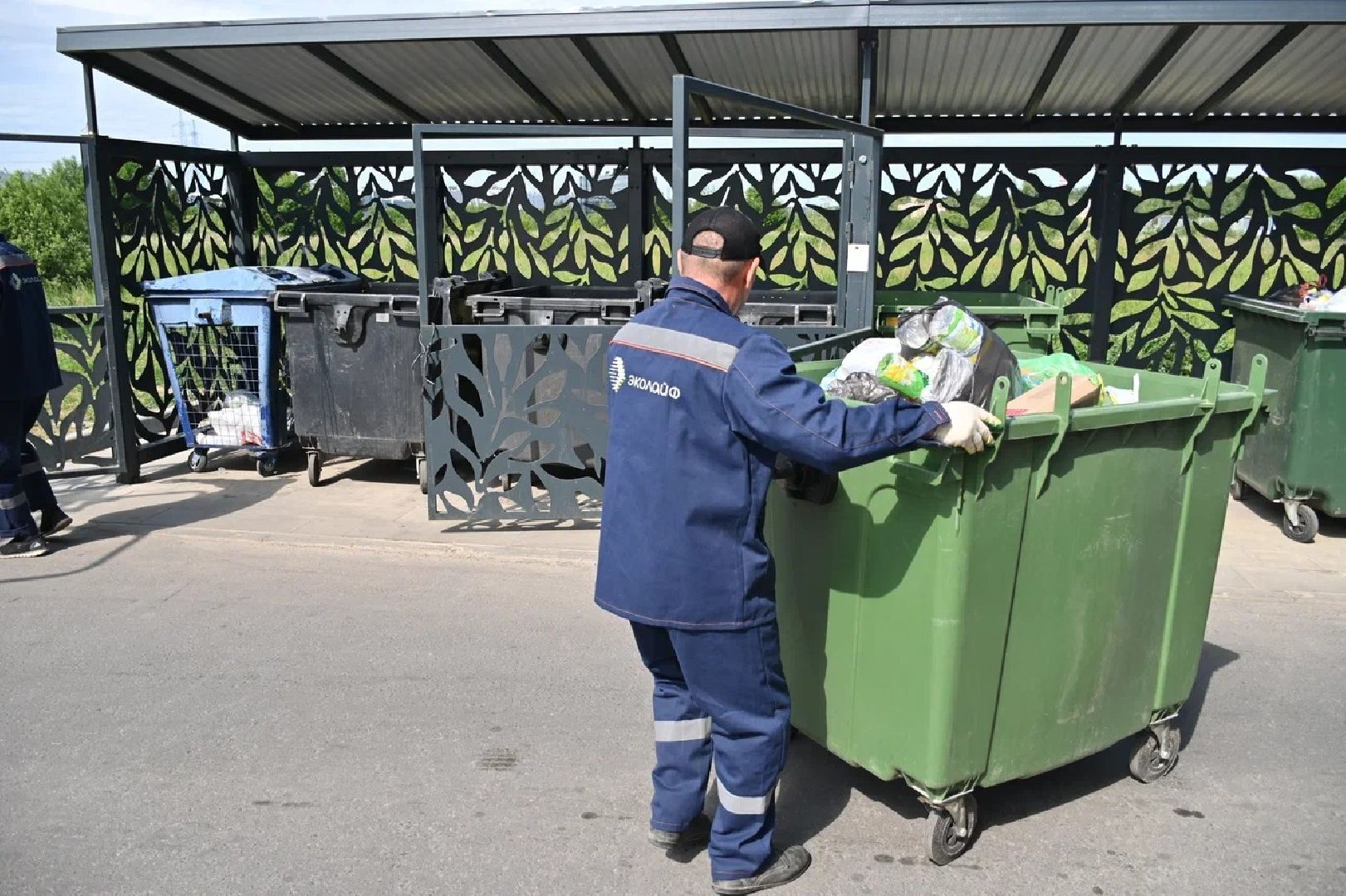 мусор, пушкино, разработка, деньги,