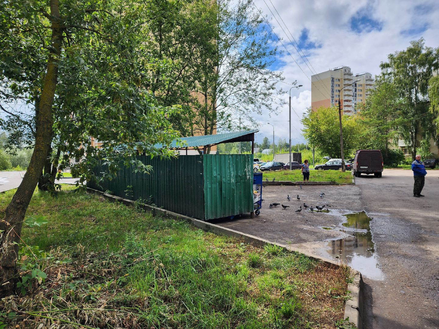 Красноармейск, Пушкинский, благоустройство дворов, обращения жителей