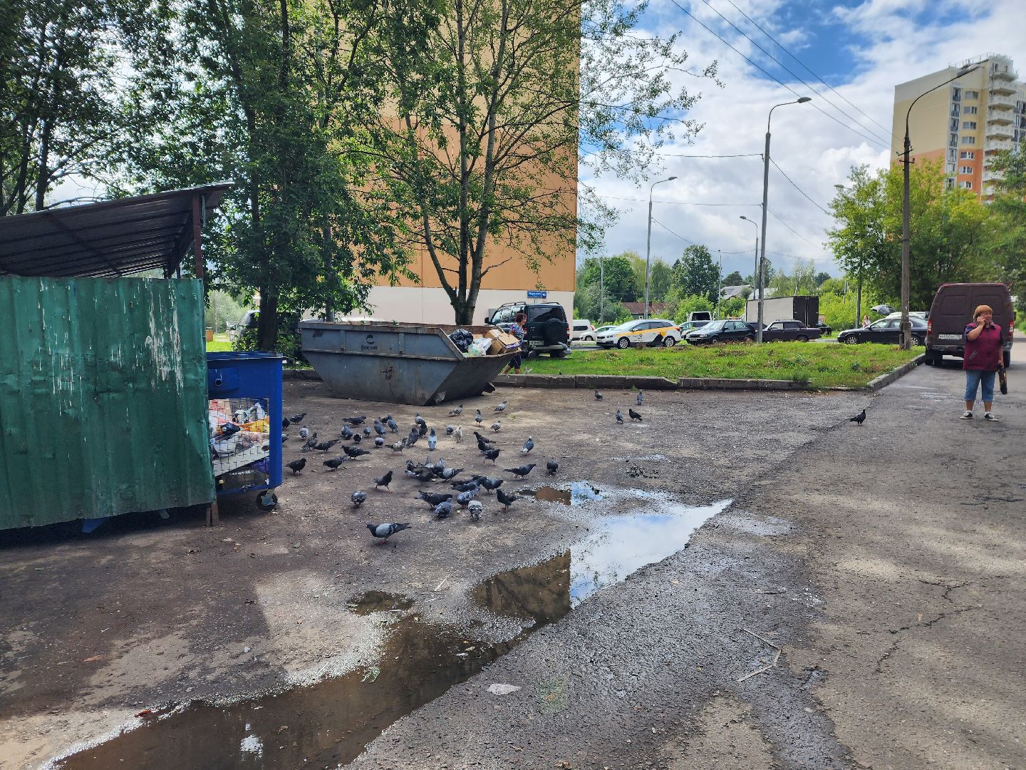 Красноармейск, Пушкинский, благоустройство дворов, обращения жителей