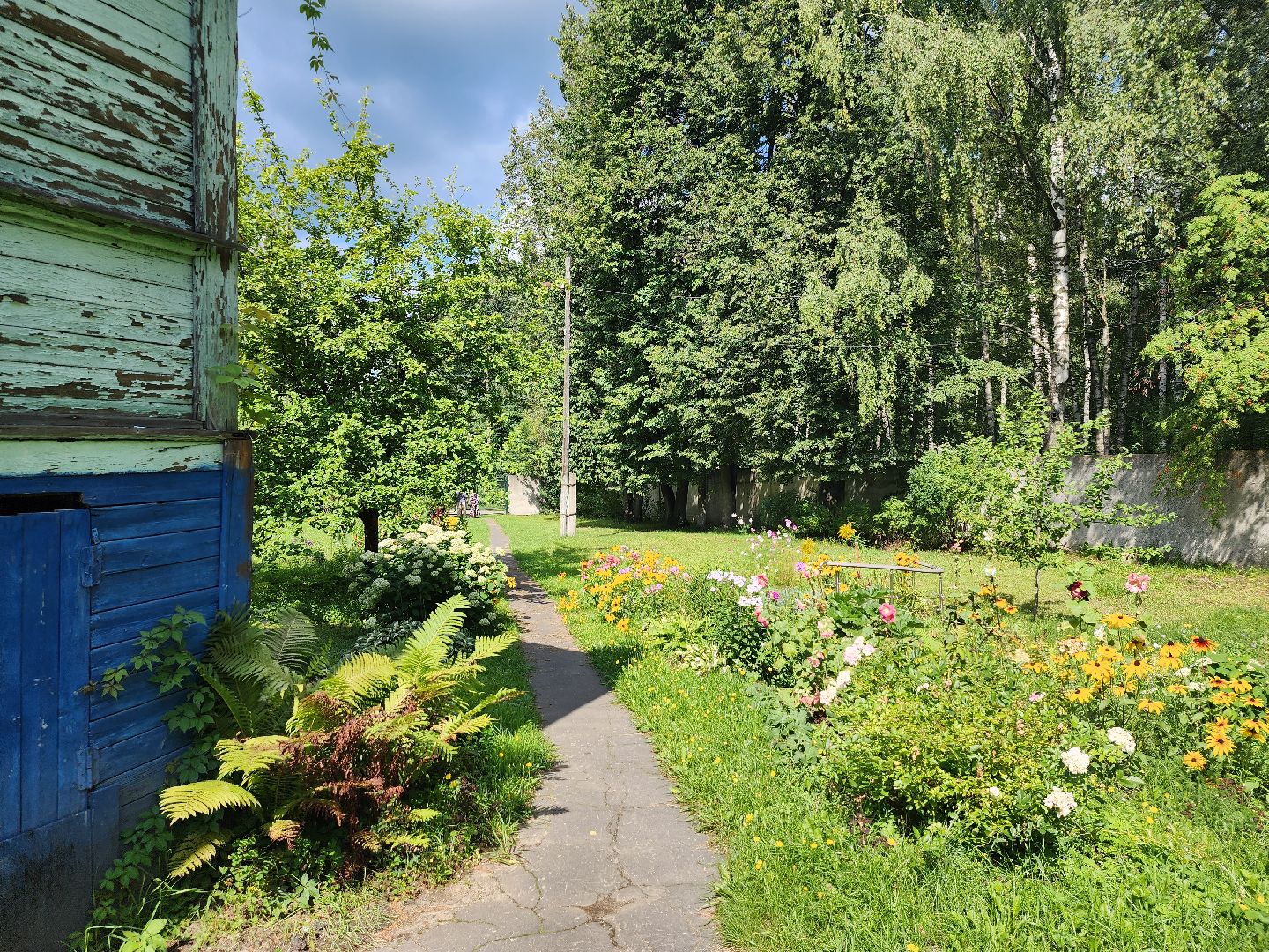 Активное долголетие, губернаторская программа, пенсионеры, Ногинск, Богородский городской округ