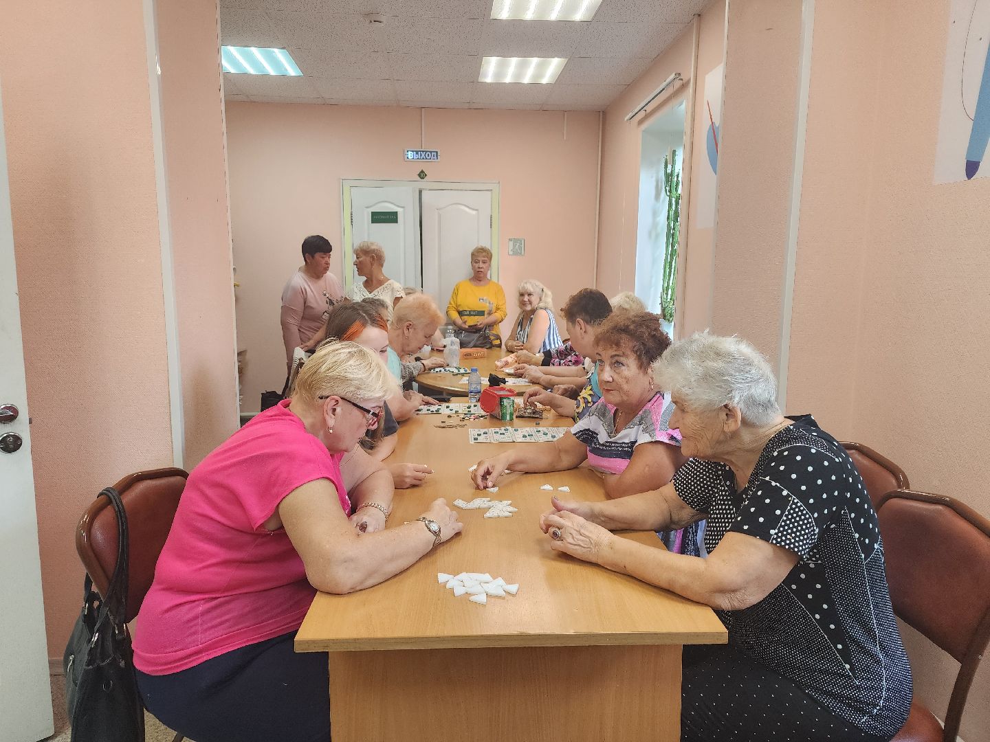 Активное долголетие, губернаторская программа, пенсионеры, Ногинск, Богородский городской округ