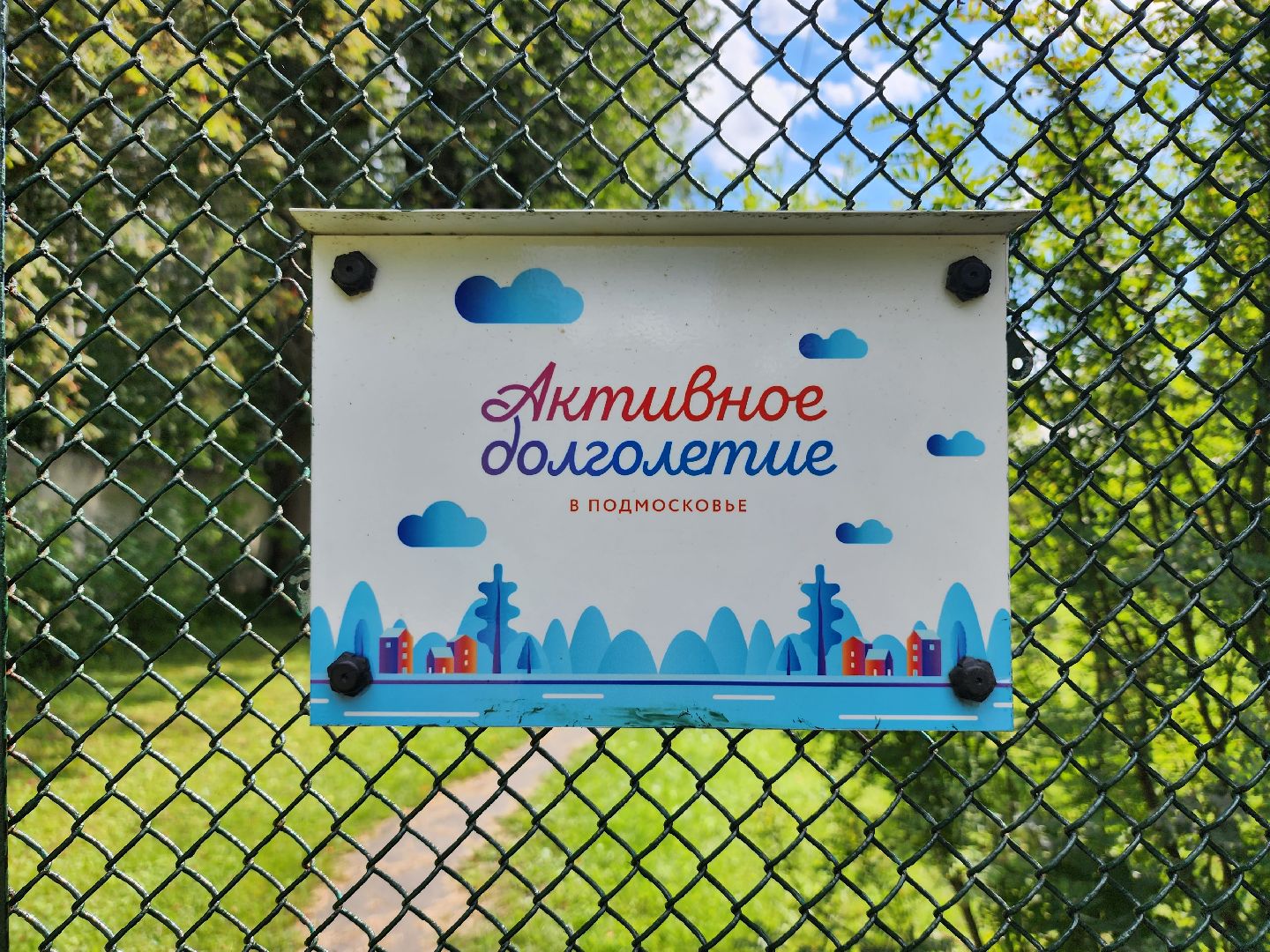 Активное долголетие, губернаторская программа, пенсионеры, Ногинск, Богородский городской округ