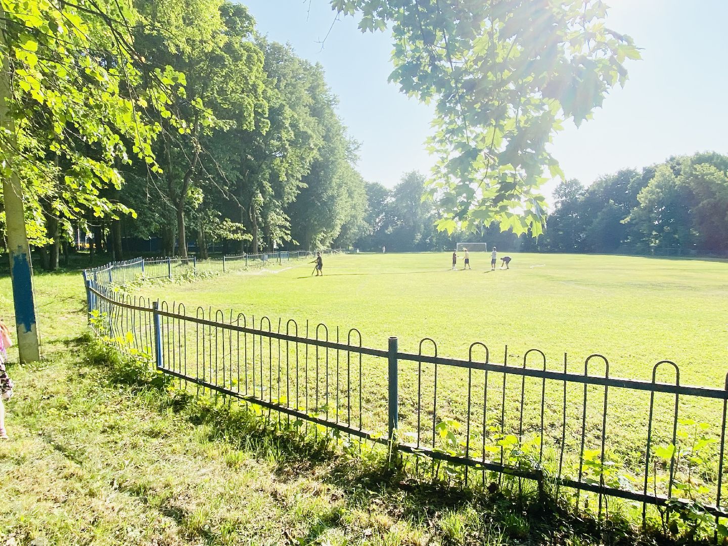 Домодедово, благоустройство, футбольное поле, обновленный газон