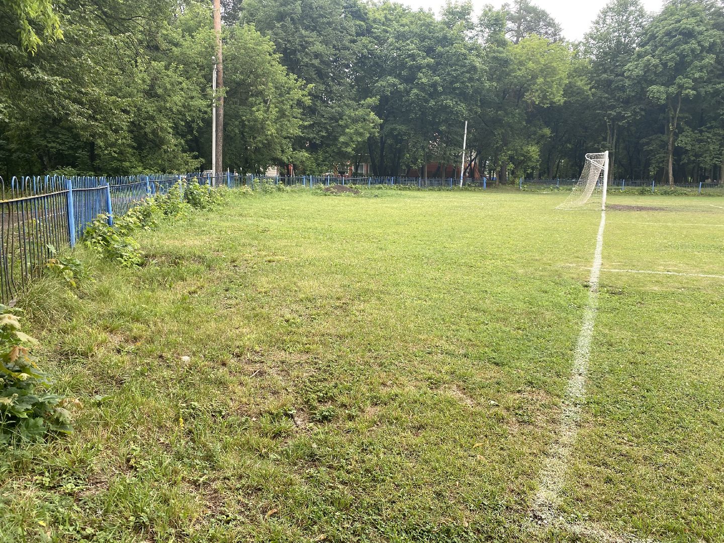 Домодедово, благоустройство, футбольное поле, обновленный газон