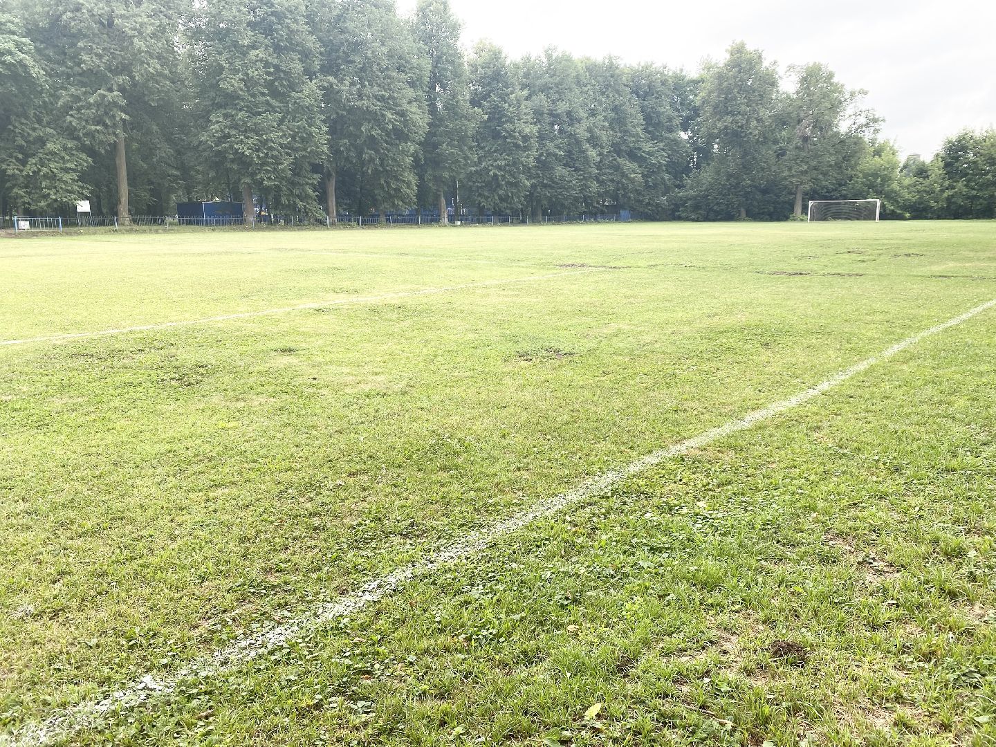 Домодедово, благоустройство, футбольное поле, обновленный газон