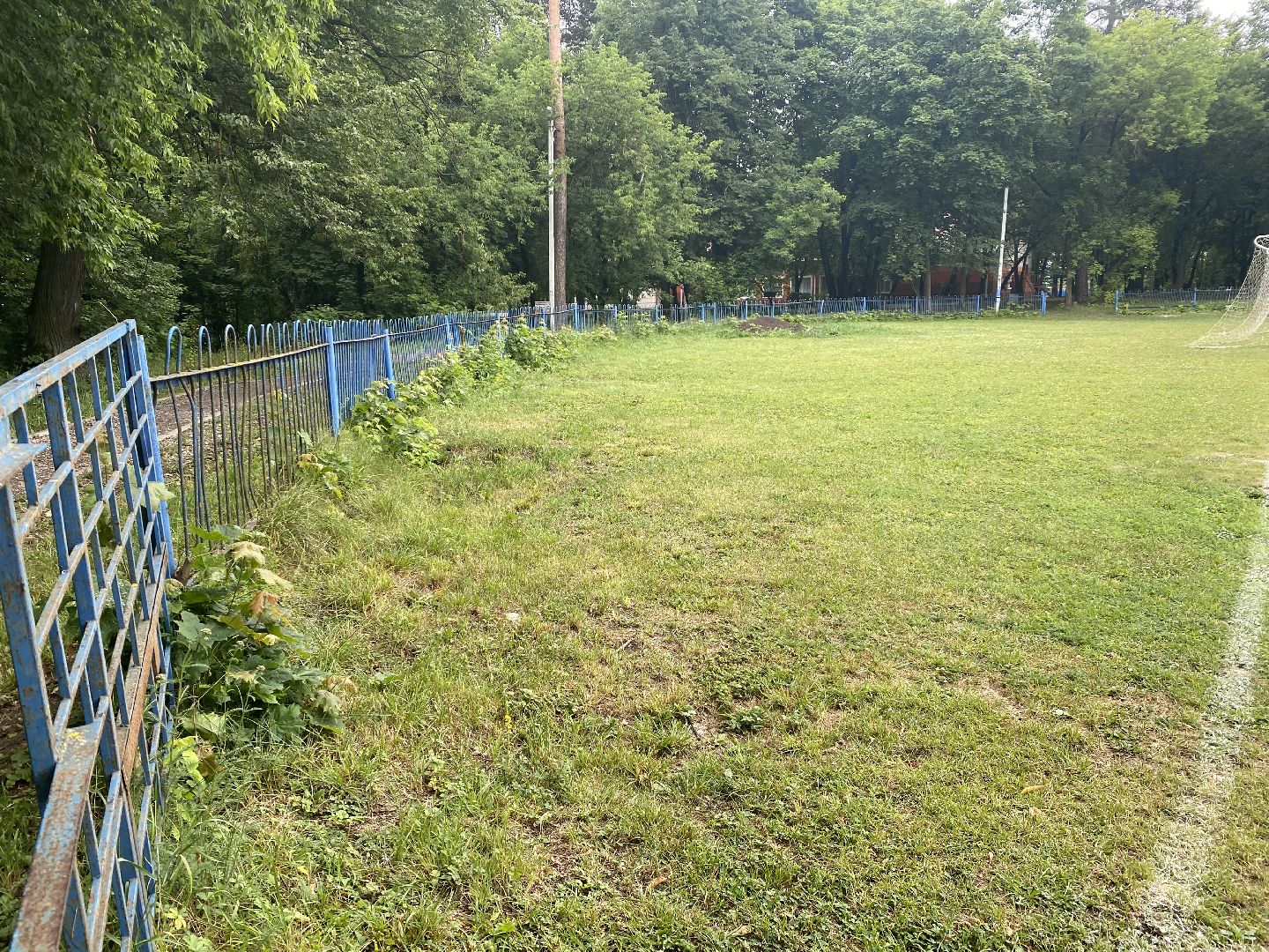 Домодедово, благоустройство, футбольное поле, обновленный газон