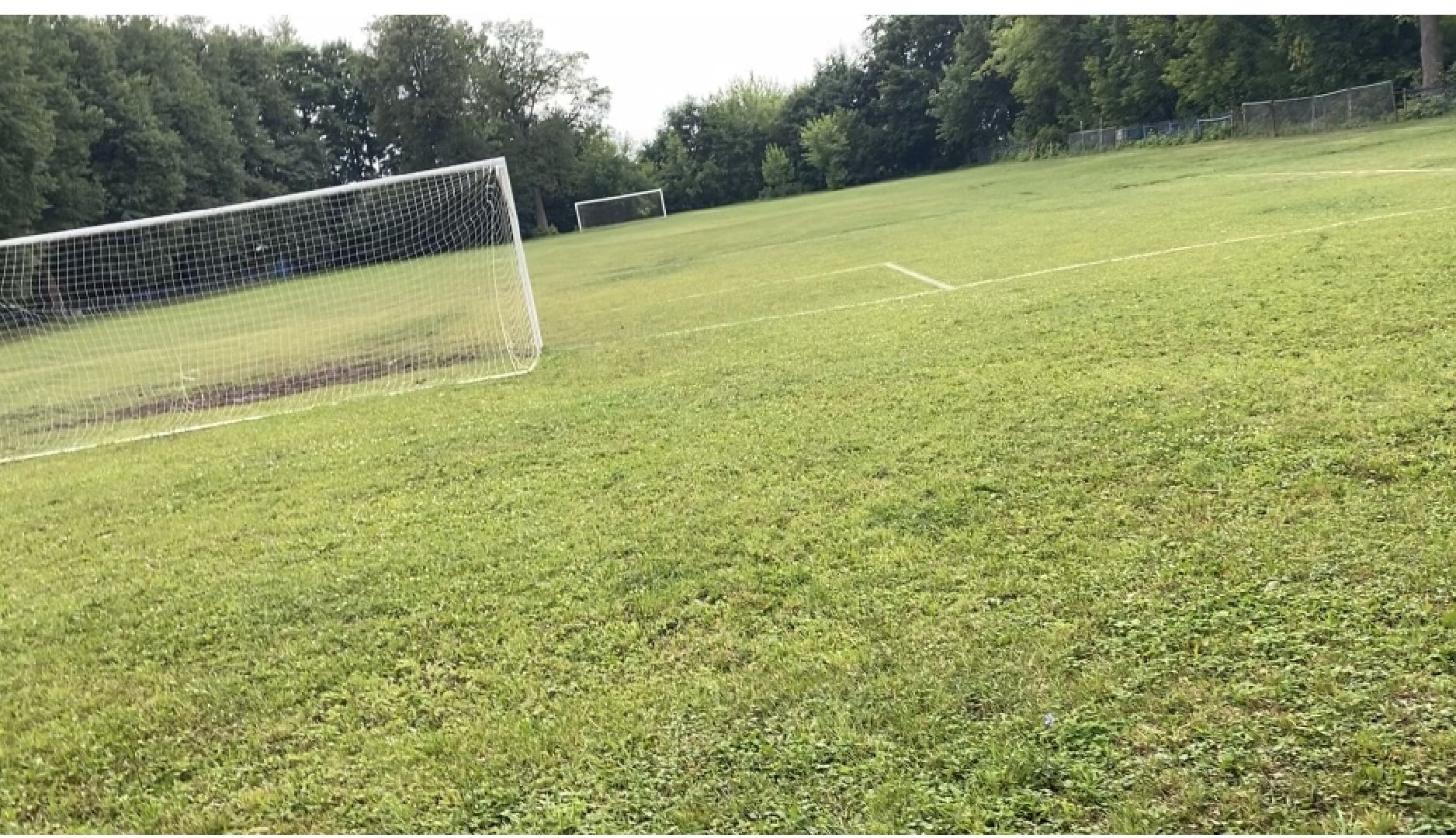 Домодедово, благоустройство, футбольное поле, обновленный газон