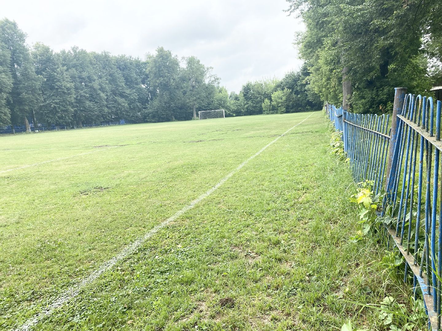 Домодедово, благоустройство, футбольное поле, обновленный газон