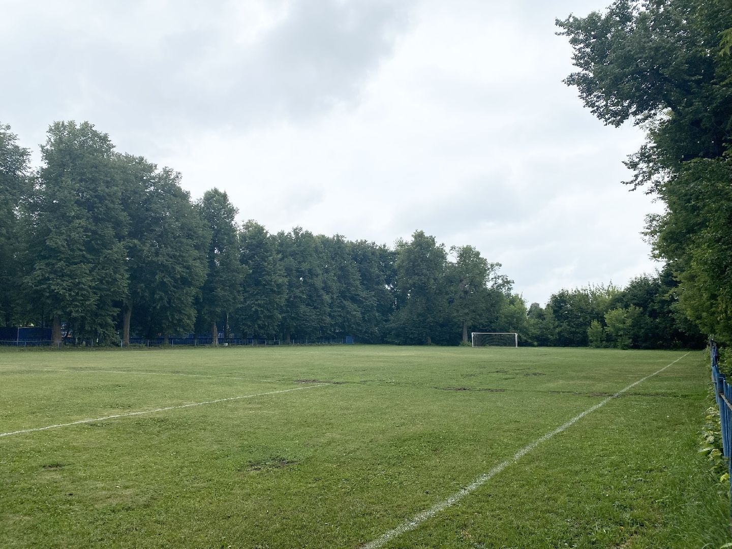 Домодедово, благоустройство, футбольное поле, обновленный газон