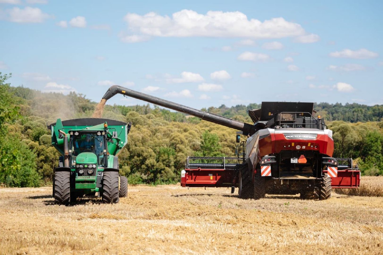 Рекорд, пшеница, урожай, селекция, технологии