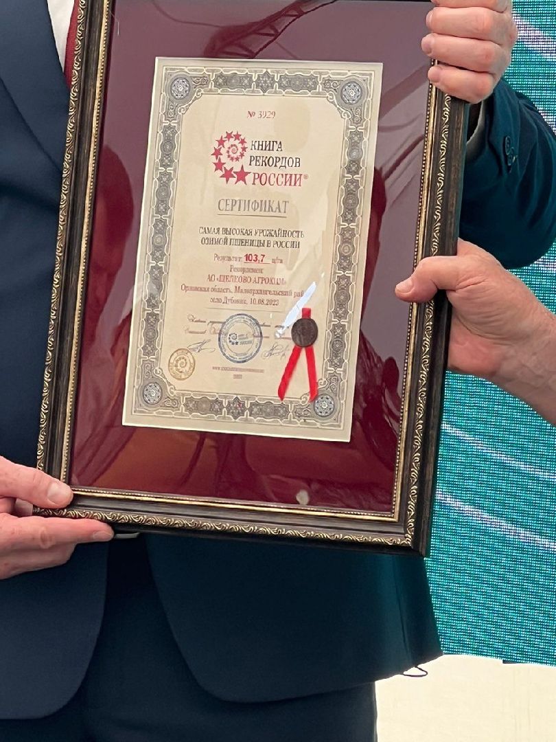 Рекорд, пшеница, урожай, селекция, технологии