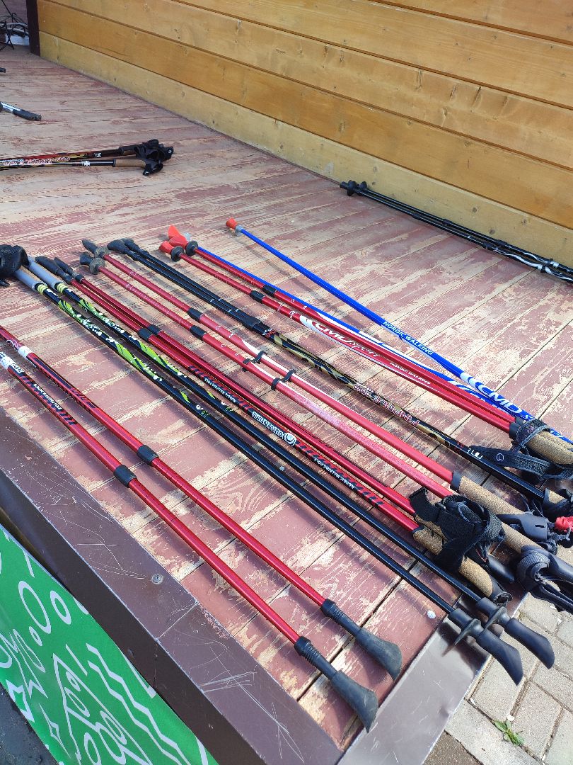 #активноедолголетие, #скандинавскаяходьба, #костюмированныйскандипроход, #талдом, #спорт