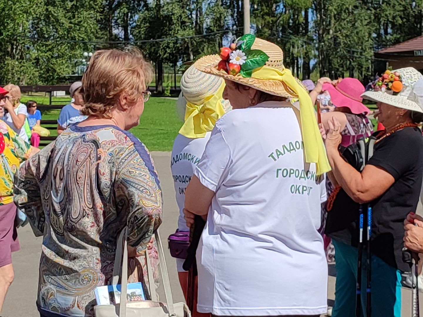 #активноедолголетие, #скандинавскаяходьба, #костюмированныйскандипроход, #талдом, #спорт