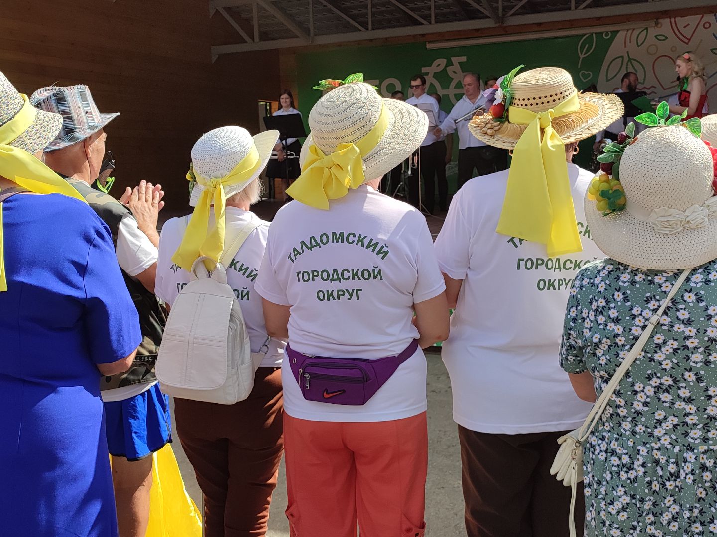 #активноедолголетие, #скандинавскаяходьба, #костюмированныйскандипроход, #талдом, #спорт