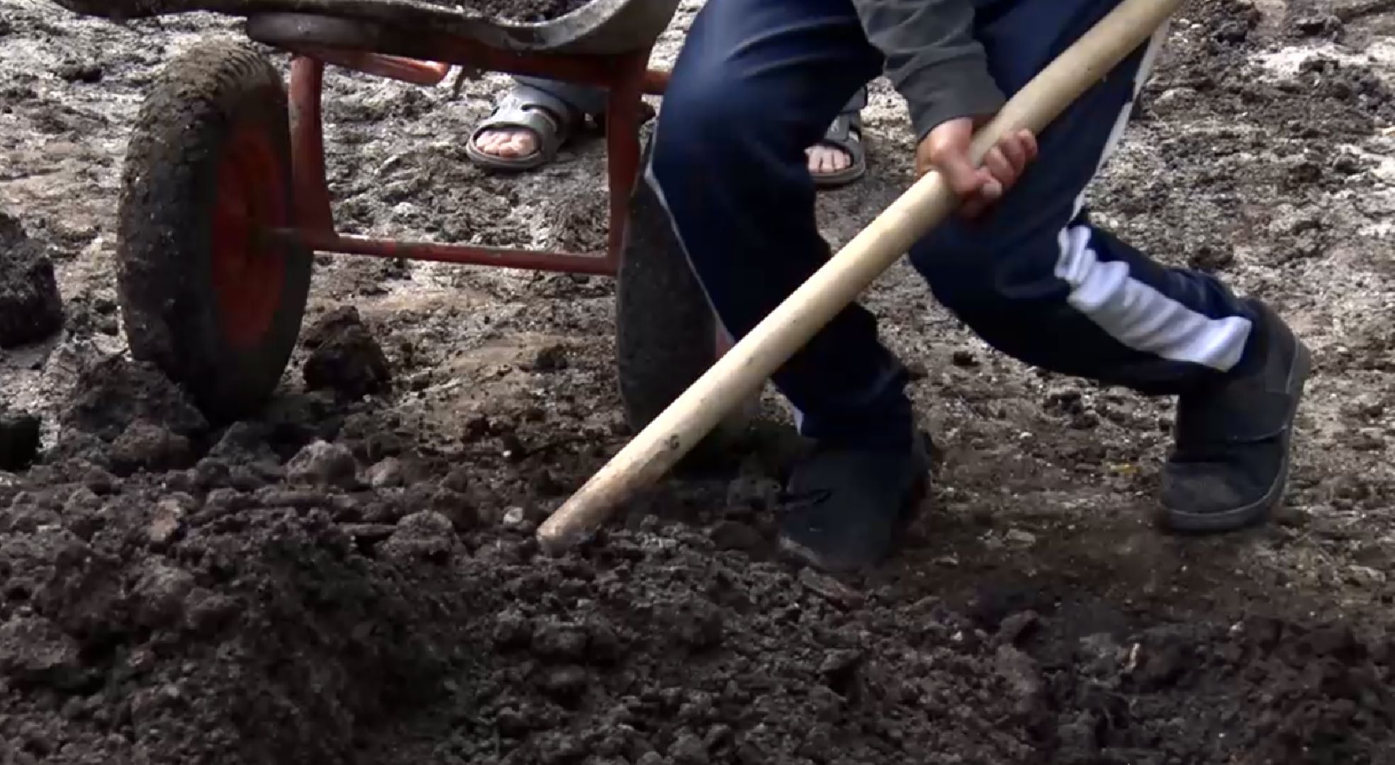 Клин, общество, благоустройство, перемены