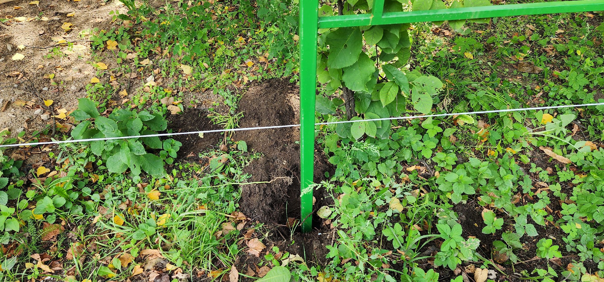 благоустройство, Белая Дача, палисадник, установка ограждения, Котельники