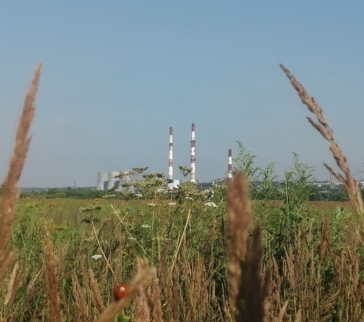 Кашира, серебристые облака, фотография, редкое явление, фотовыставка